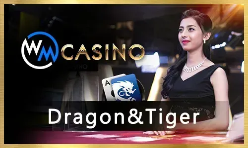 777plus Easy Bingo Play